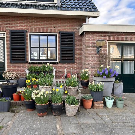 Flowerbed Voorhout Ngoại thất bức ảnh