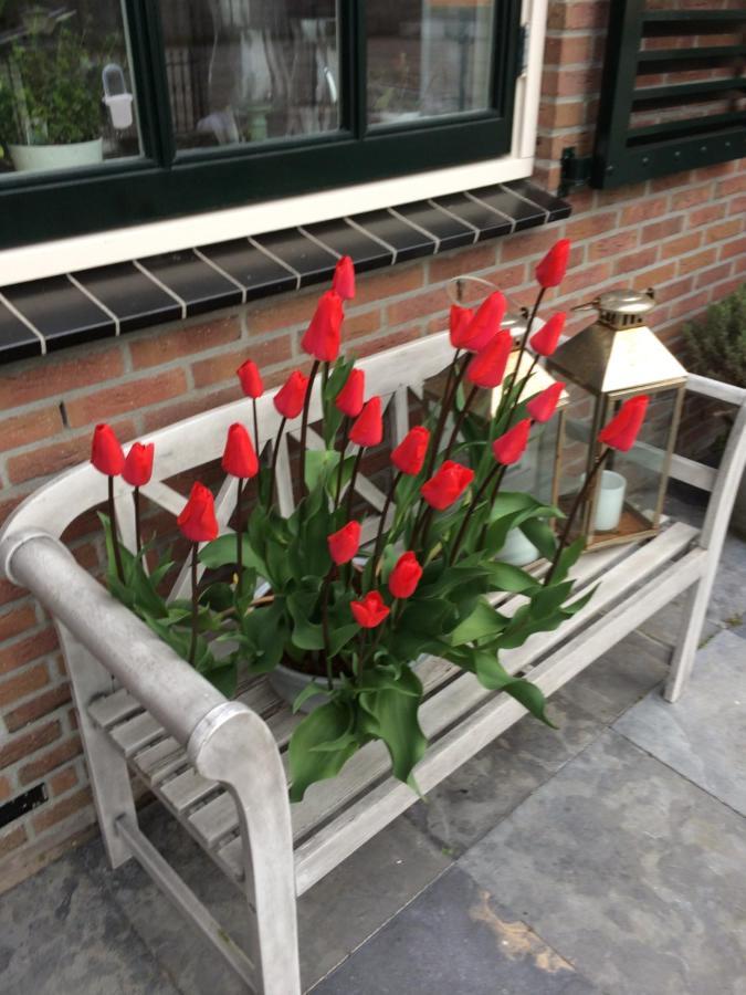 Flowerbed Voorhout Ngoại thất bức ảnh