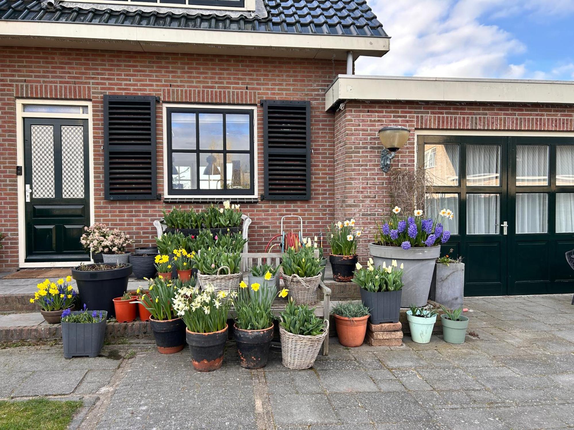 Flowerbed Voorhout Ngoại thất bức ảnh